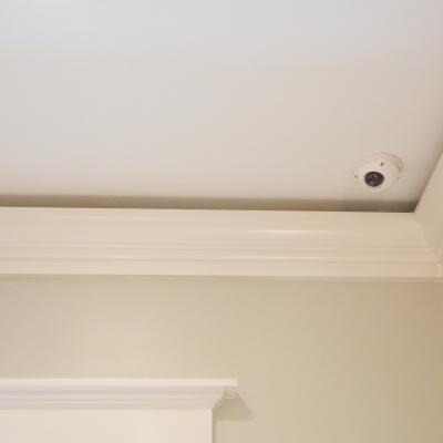 Luma Dome Camera